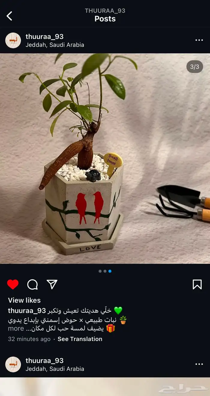 هدايا نباتات وأحواض 1