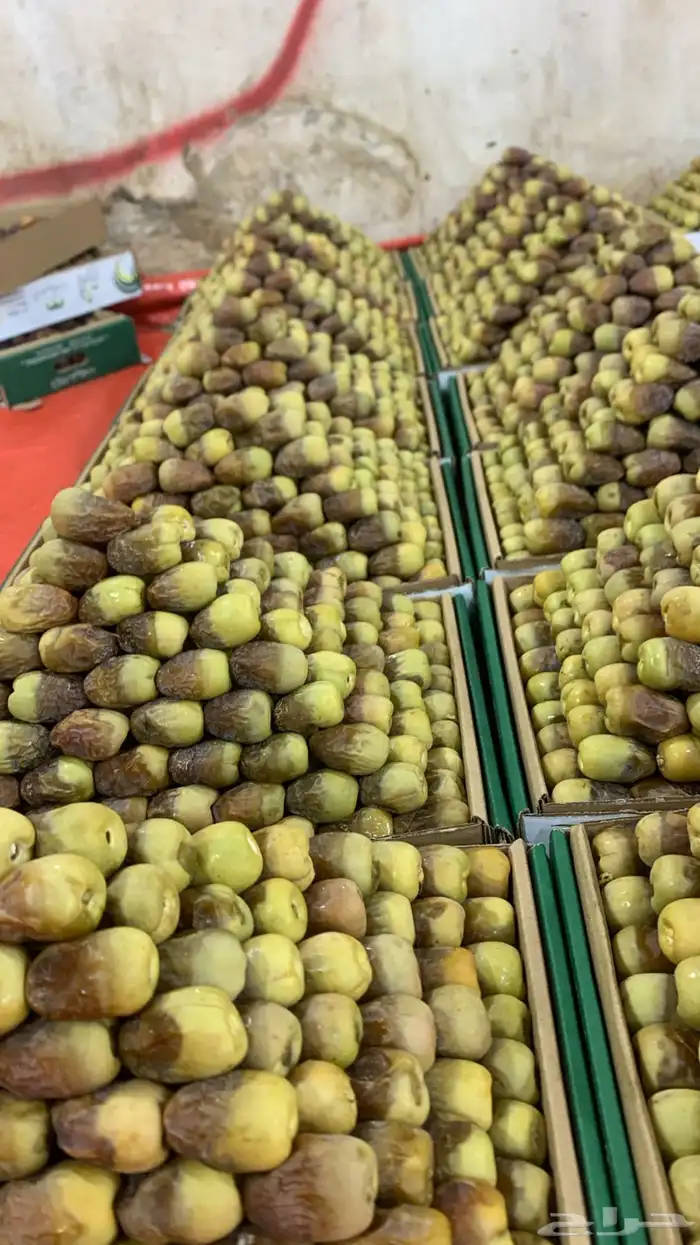 تمر اهشيشي 0