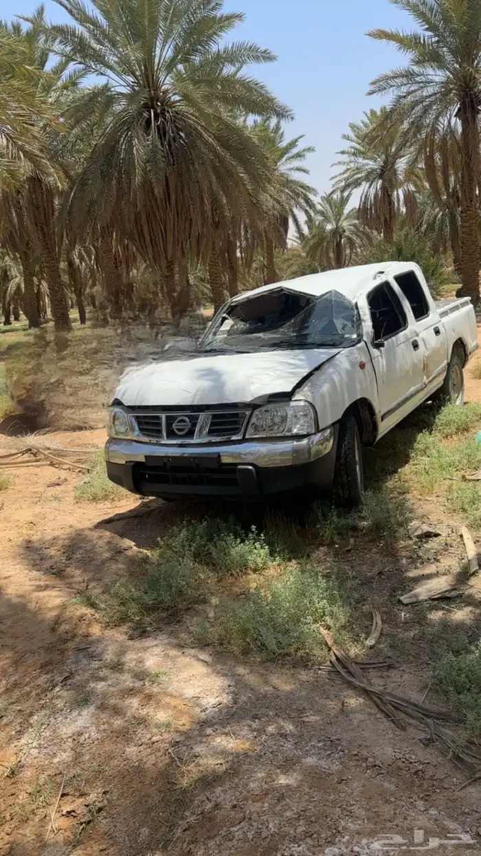 ددسن 2010 للبيع قططع 1