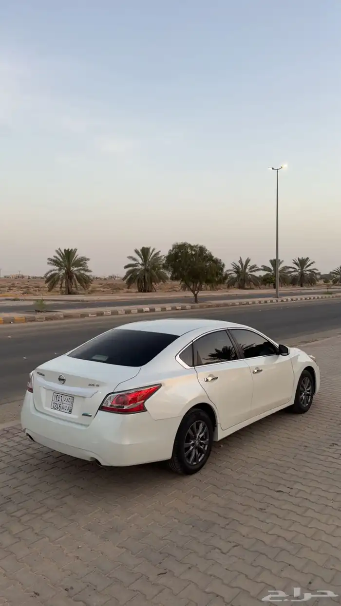 التيما 2016 ممشى قليل 12