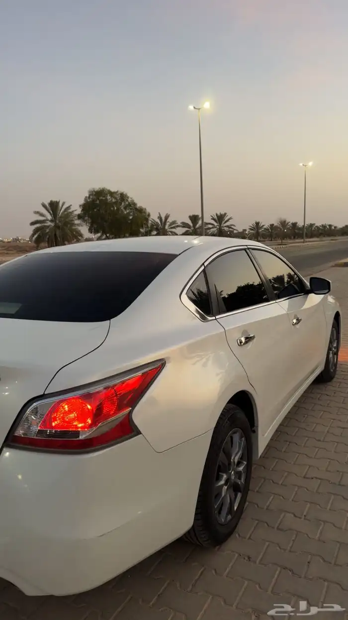 التيما 2016 ممشى قليل 47