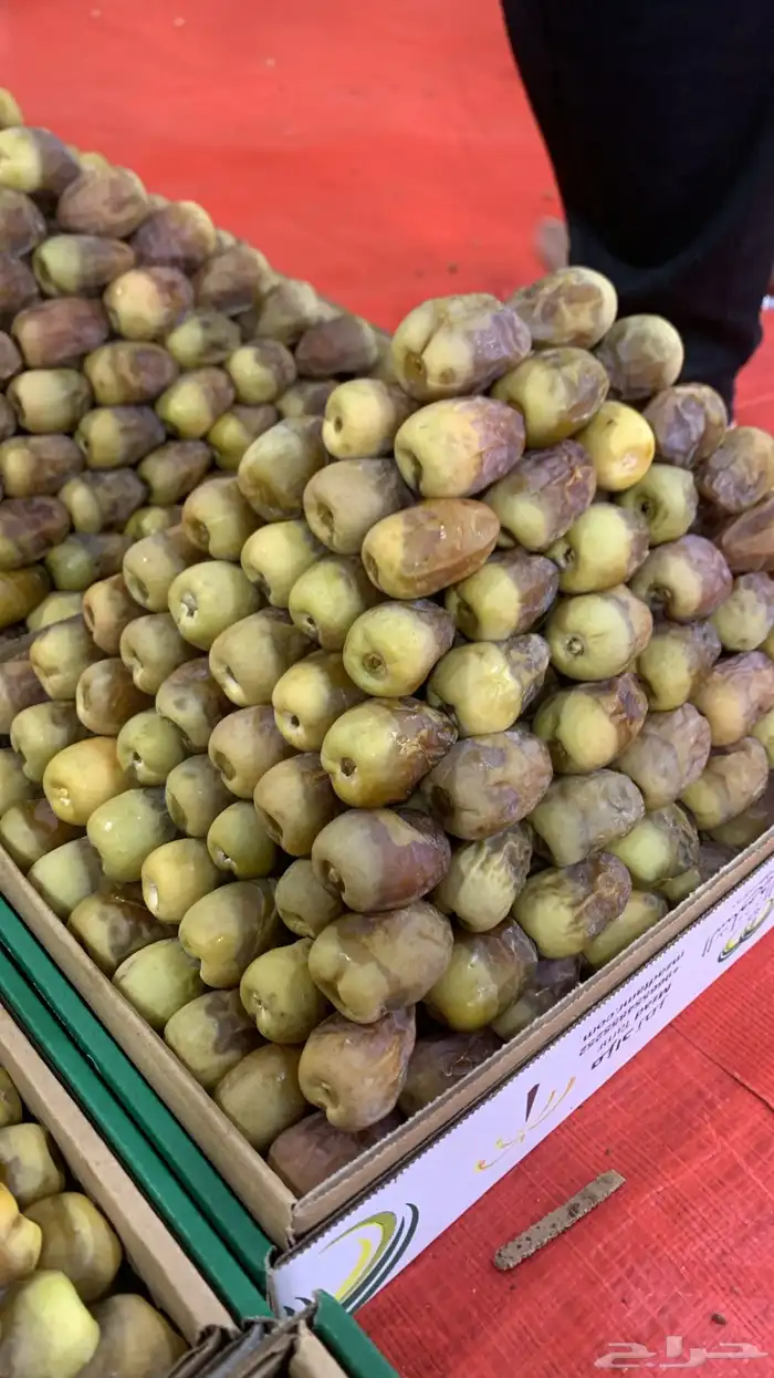 تمر اهشيشي 3