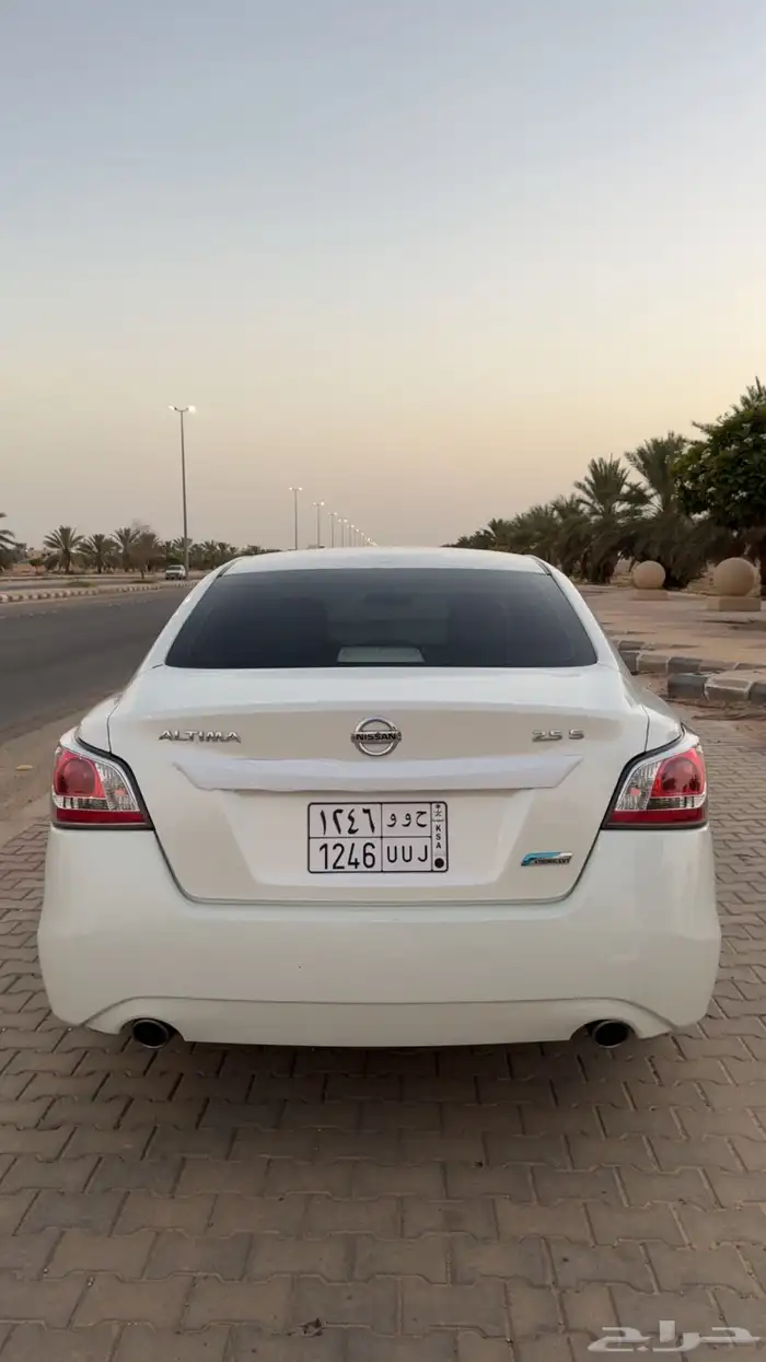 التيما 2016 ممشى قليل 23