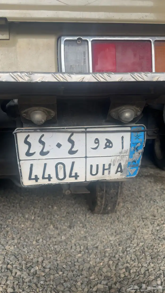 لوحه شاص للبيع مميزه عل السوم 0