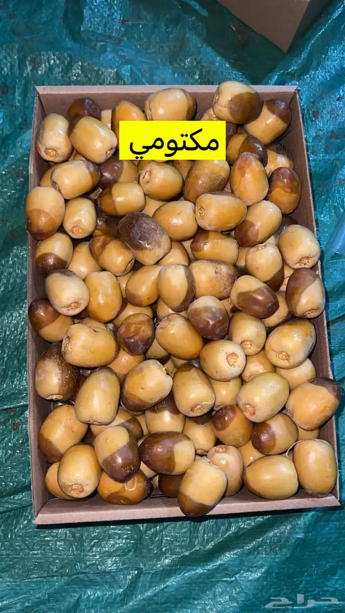 تمور 0