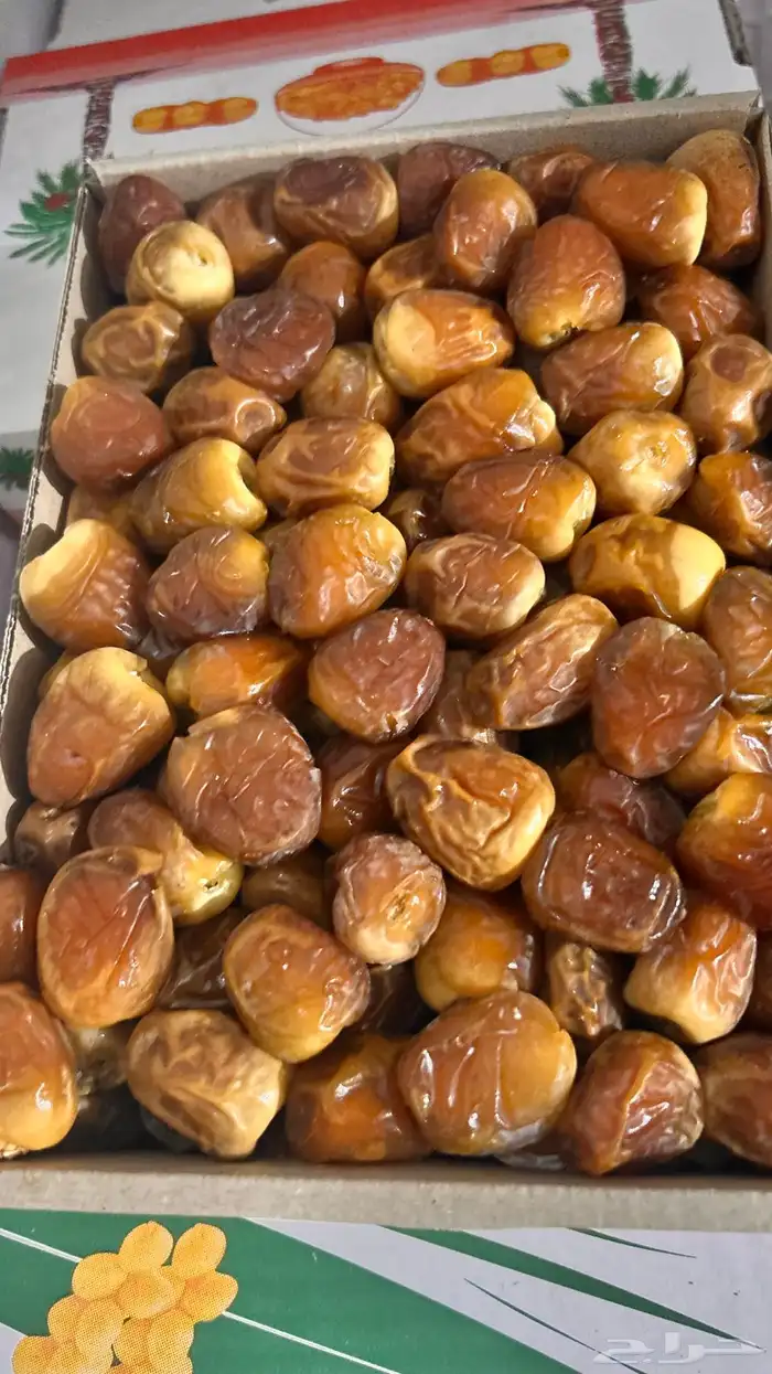 سكري مبرد 1