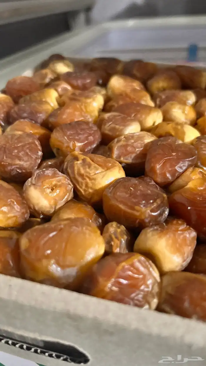 سكري مبرد 3