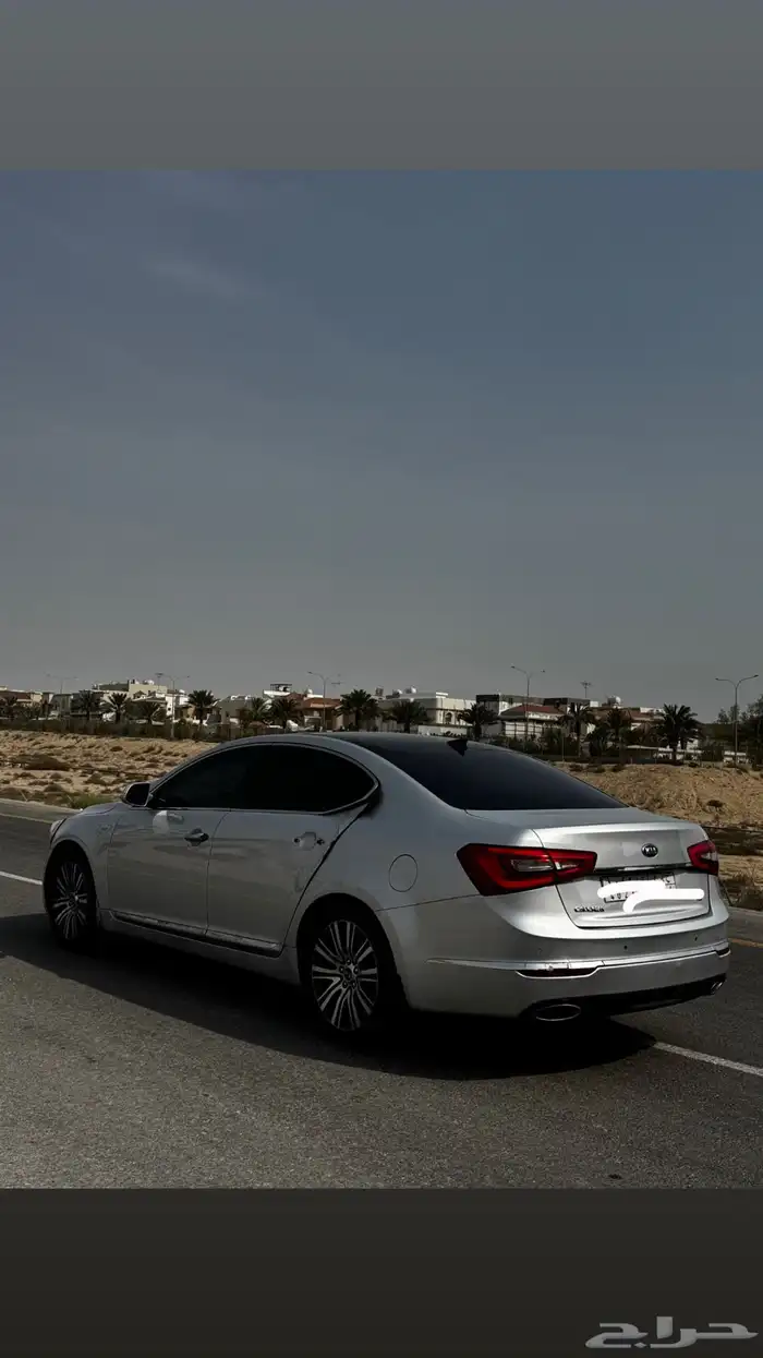 كادينزا 2015 نص فل 1