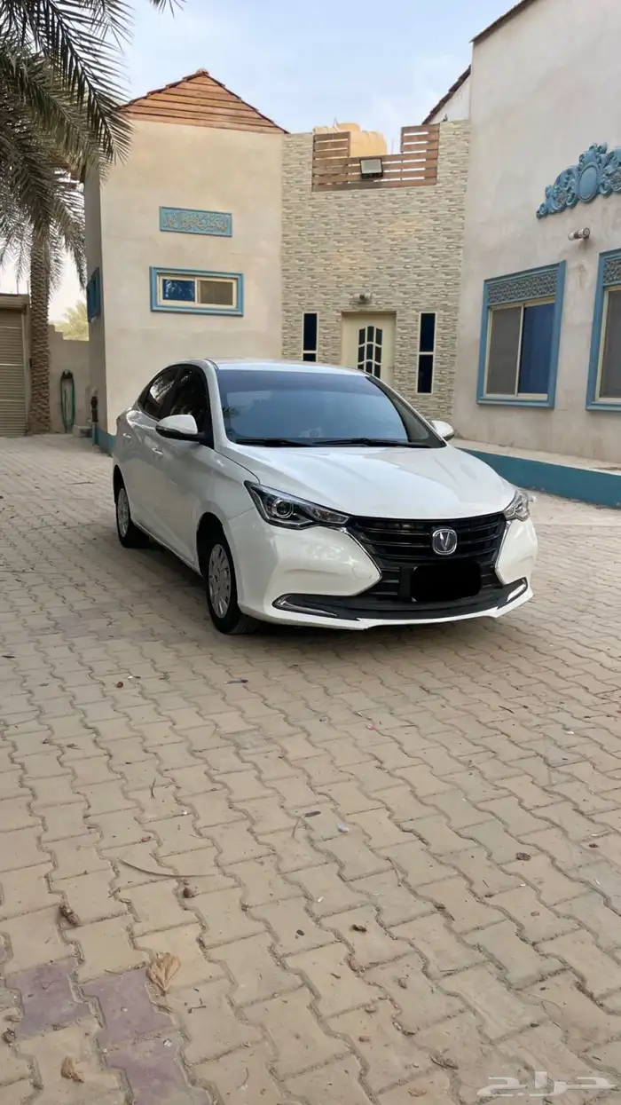 شانجان السفن 2022 ممشى 56 فقط 1