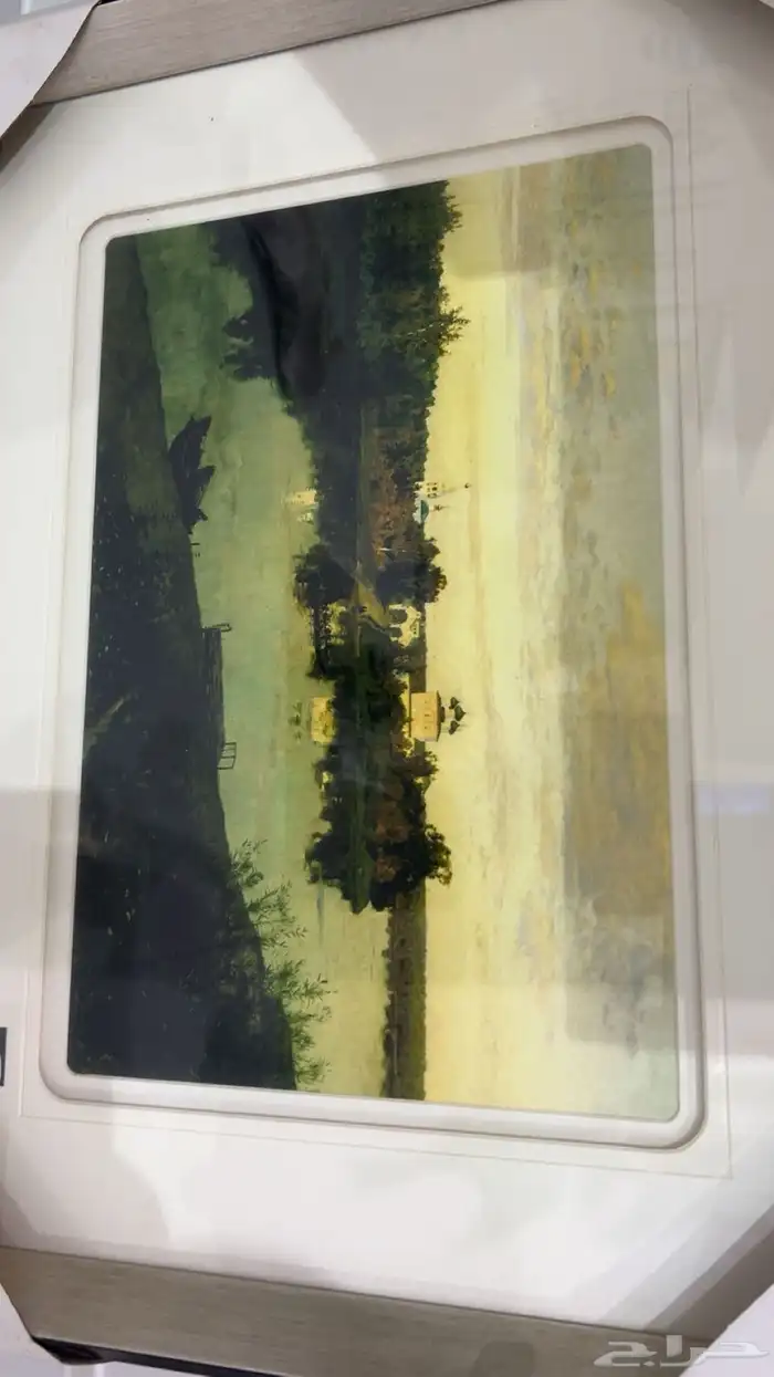 لوحة صور نادره 1