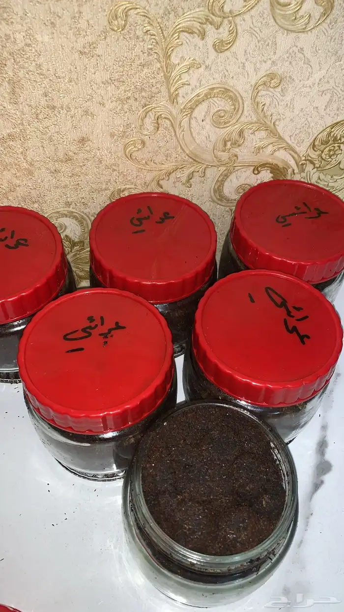 وبخور معمول الملكي والعرائسي 2