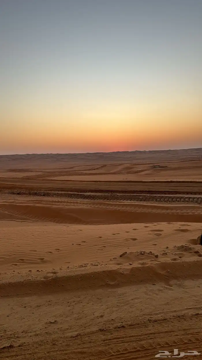 عمل شبوك ردميات نخيل مقاولات 2