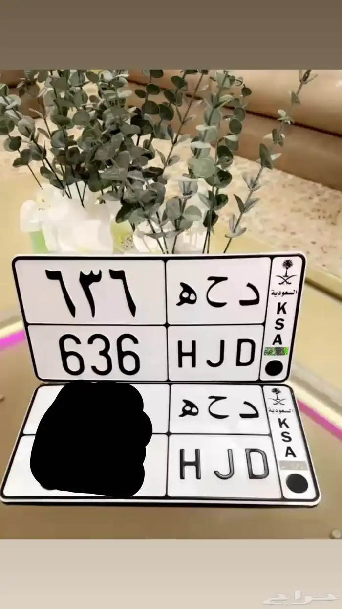 لوحة مميزة دحه 636 0