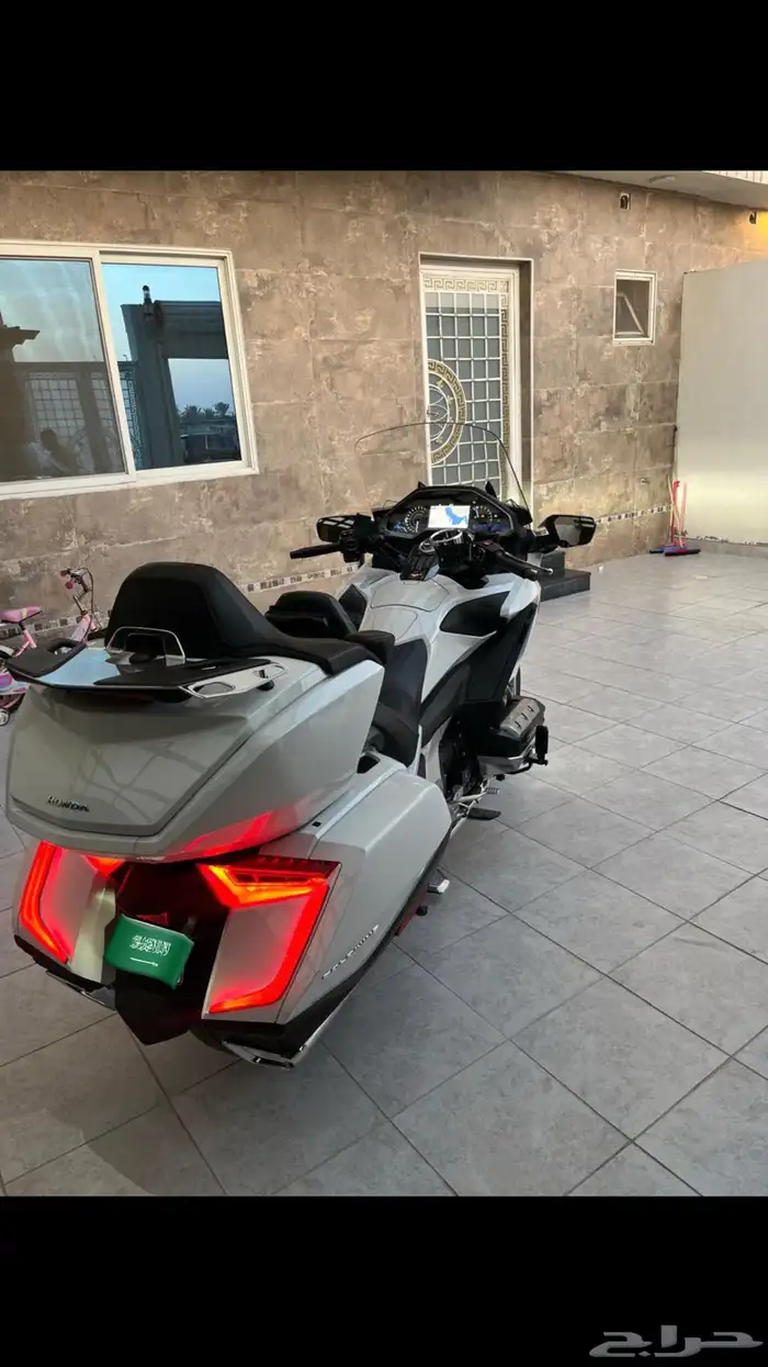 جولد وينق 2018 3