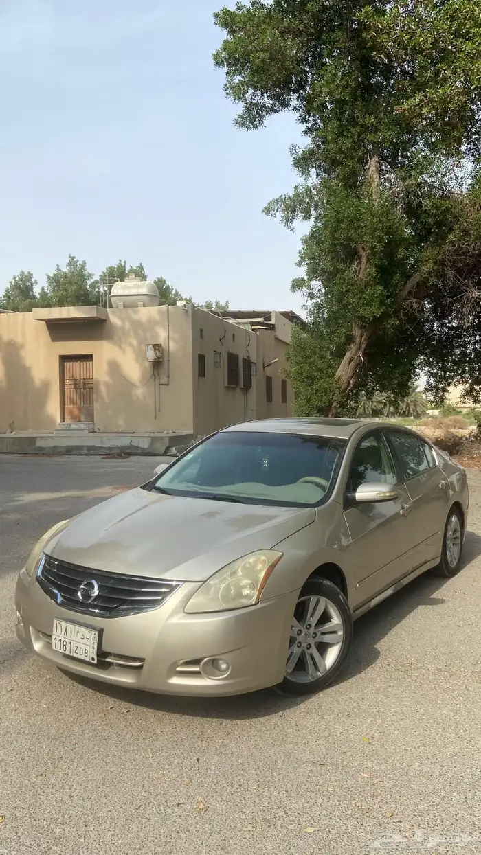 التيما 2010   3.5 59