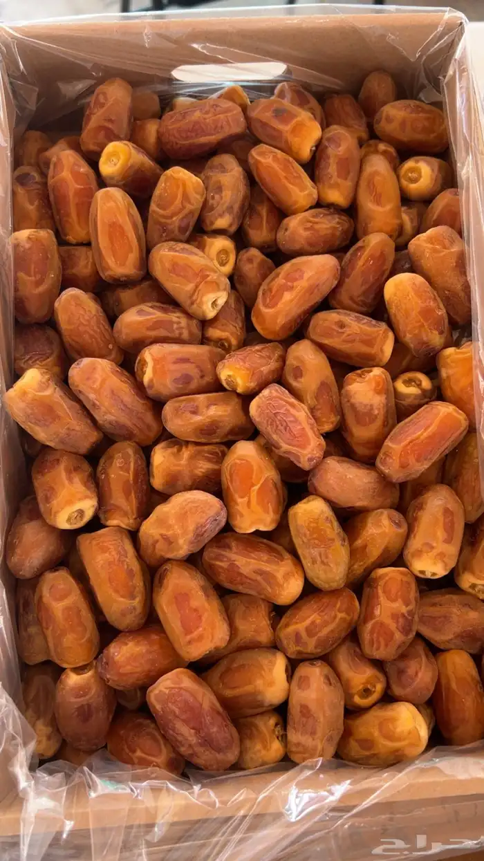 صقعي رطب احمر 0