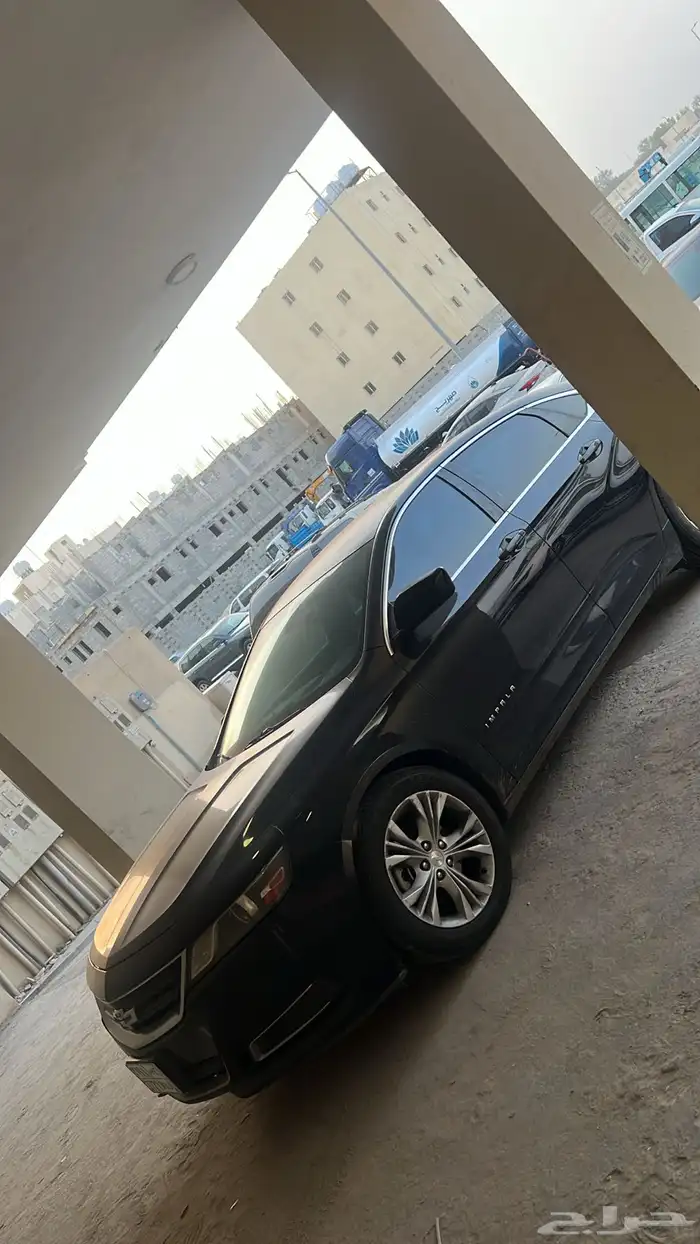 امبالا 2014 بدي بلد 1