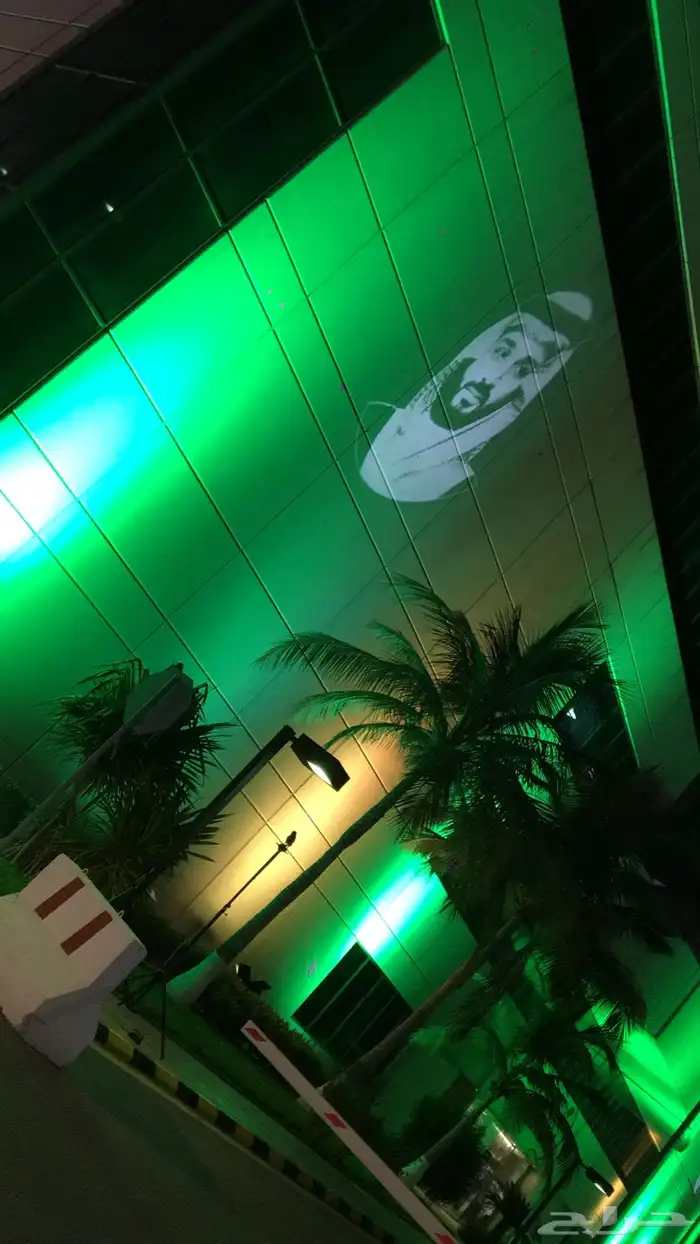 كشافات اليوم الوطني باللون الاخضر 3