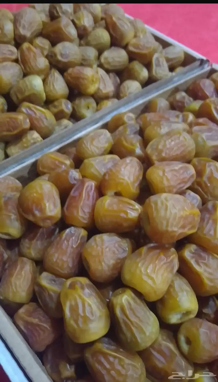 تمور القصيم 4