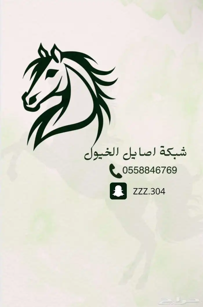 عرررض خاص مزاد اصايل الخيل 0