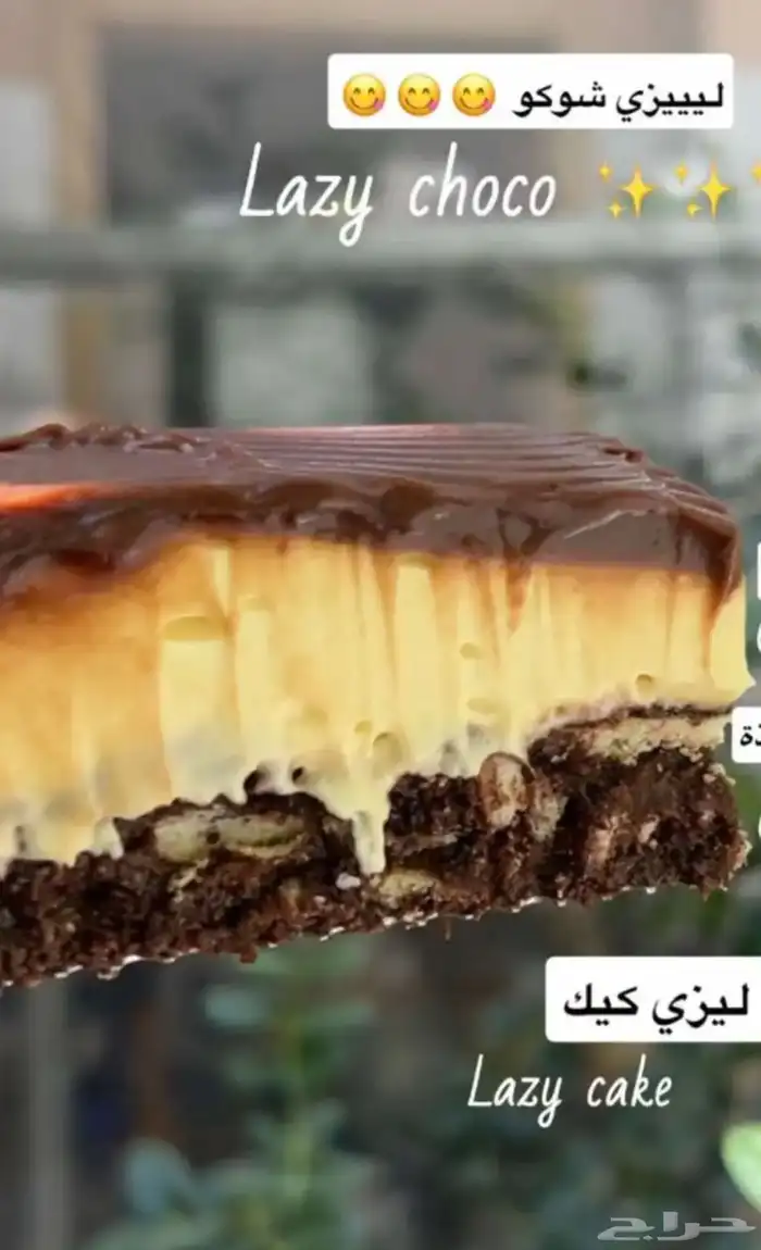 حلا تشيز كيك توريد للكوفيهات والمطاعم 13