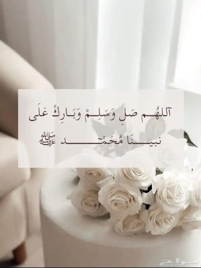 ابحث عن شقة في العمرة الجديدة 0