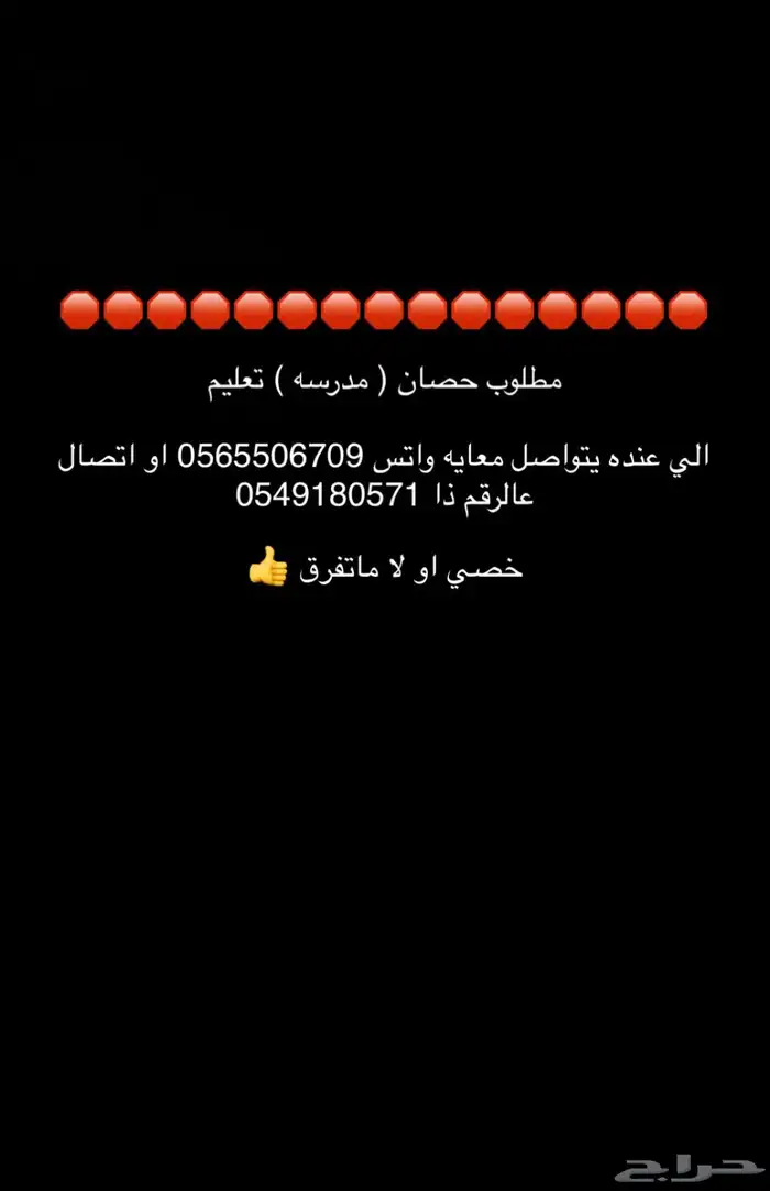 مطلوب حصان مدرسه 0