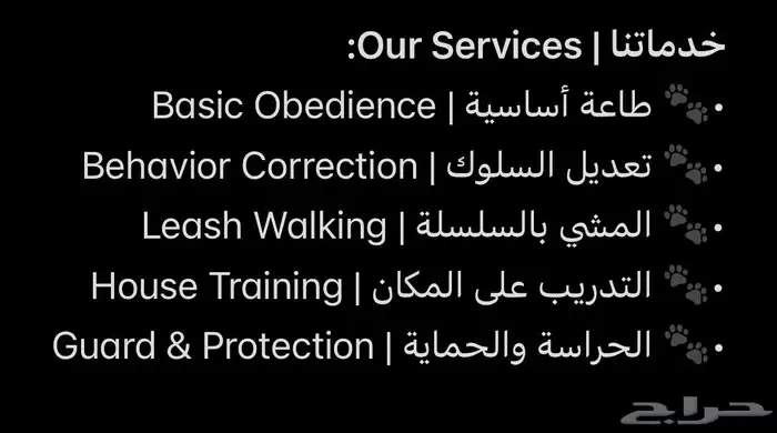 تدريب كلاب محترف   جده . Professional Dog Training   Jeddah 1