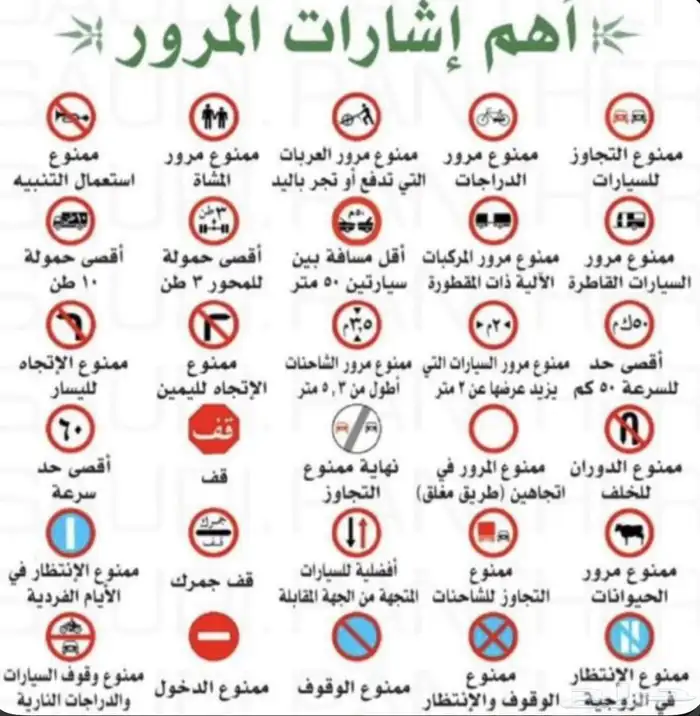 مدربة قيادة 3
