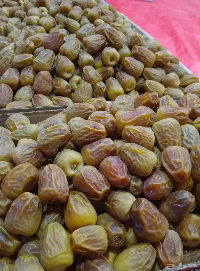 تمور القصيم 5