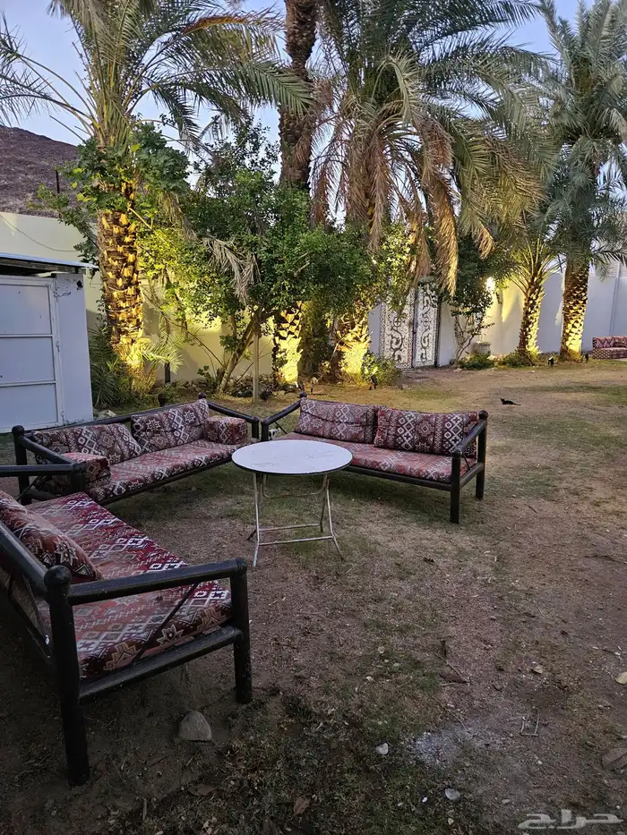 استراحة لاقينا هوم بمسبح كبير طول 19 متر واشجار وزرع 15