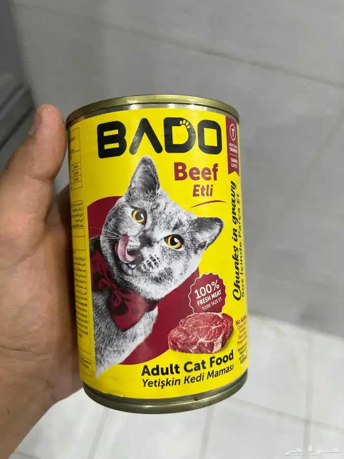 بسة أو قطة لتبني 9