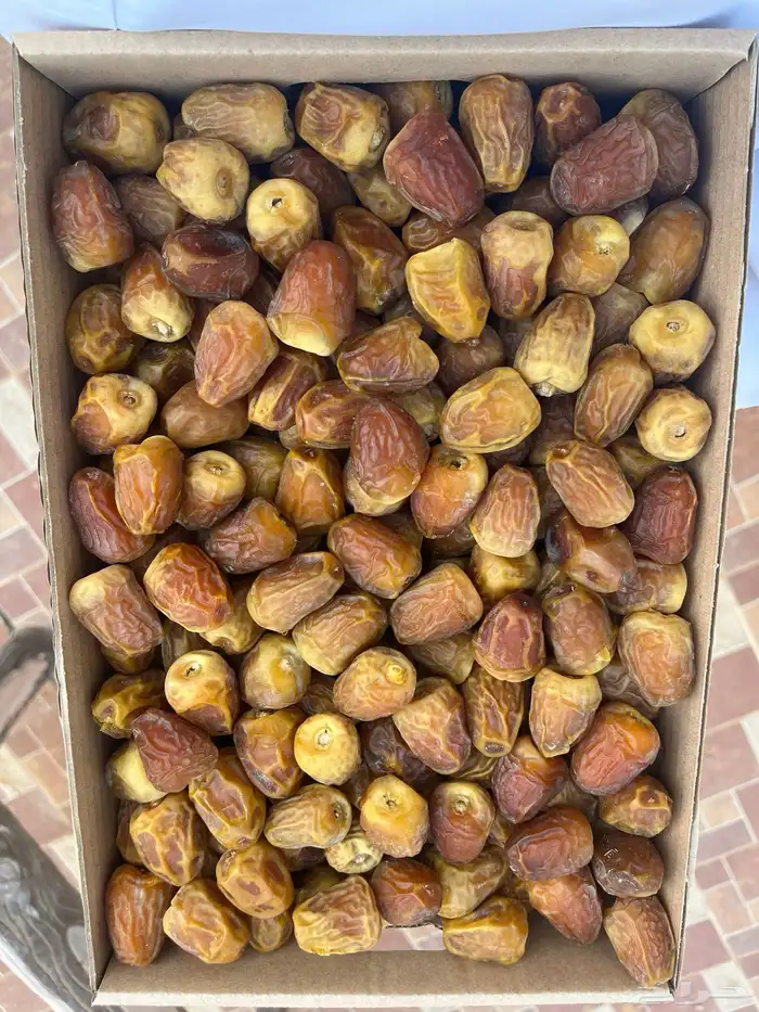 تمر سكري عضوي نفود الزلفي 0