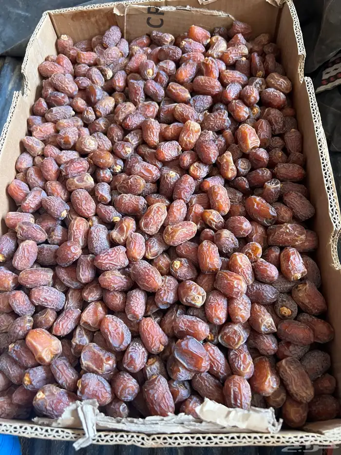 خلاص وادي طيب للبيع 1