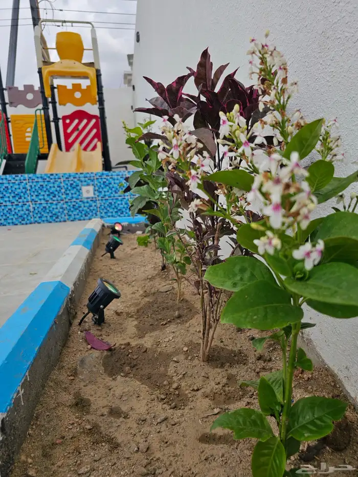 استراحة للإيجار بالطايف حي الواصلية السيل الصغير 4