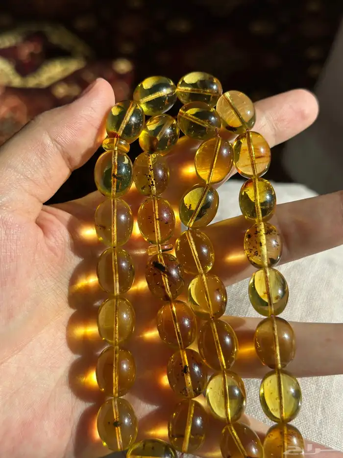 مسباح كهرمان 6