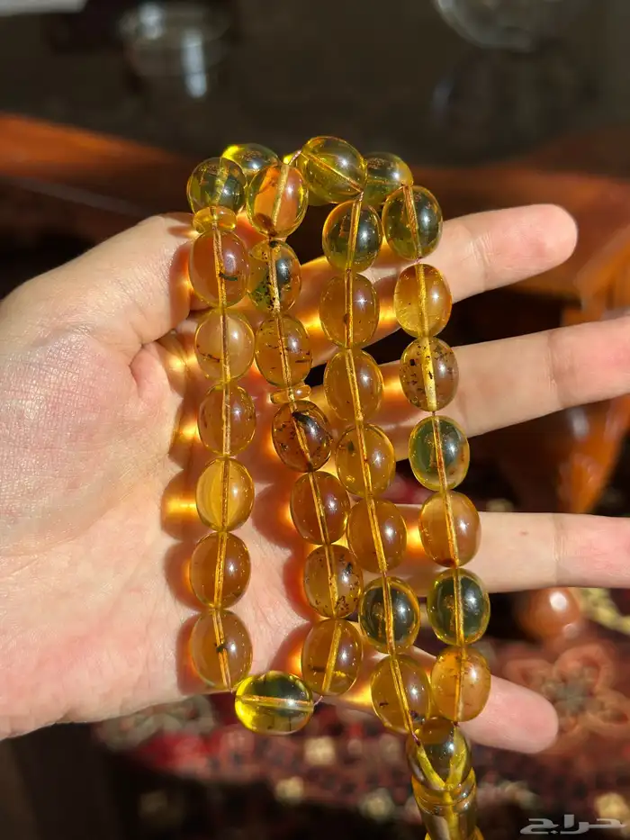 مسباح كهرمان 5