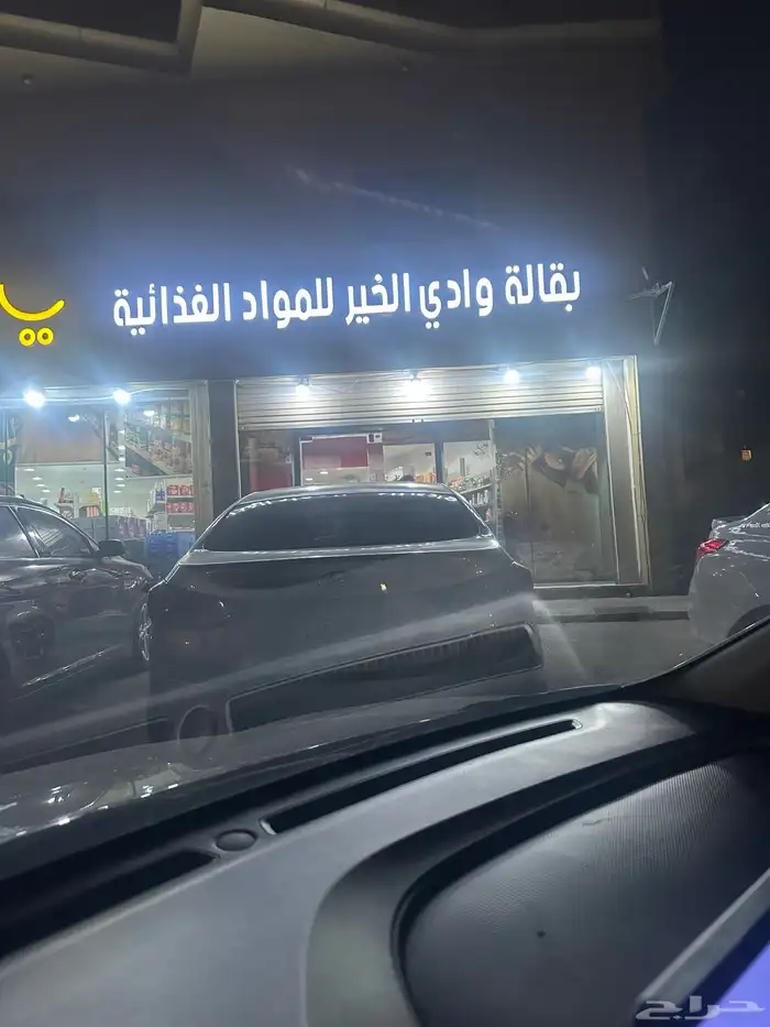قط ضائع 4