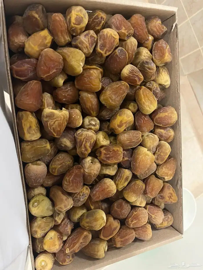 تمر سكري عضوي نفود الزلفي 10