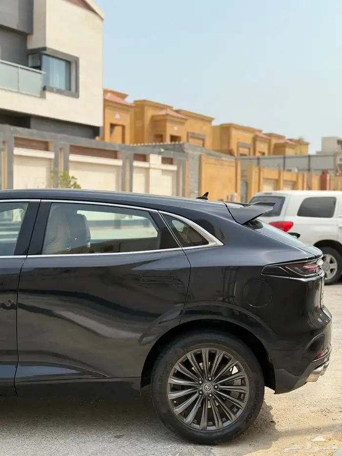 شانجان يوني كي 2