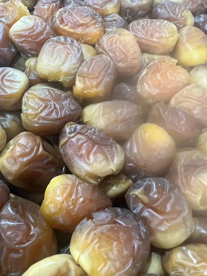 برحي مناصيف ورطب طيب وفاخر 1
