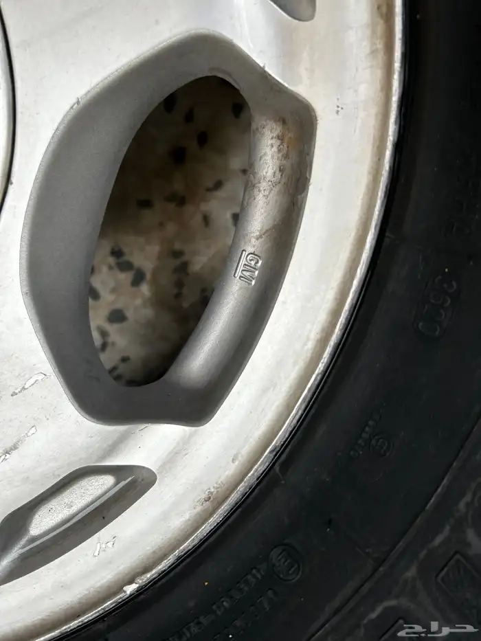 جنوط جمس 2006 6