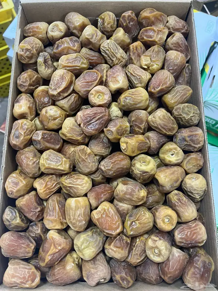 تمر سكري عضوي نفود الزلفي 1