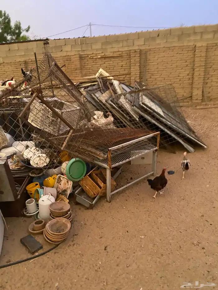 صنادق حديد وشبوك دجاج ودباب ومعالف 2