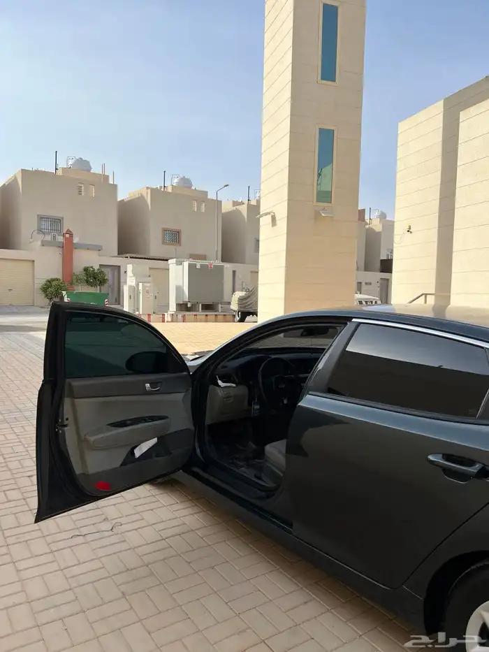 اوبتيما ستاندر 2018 6
