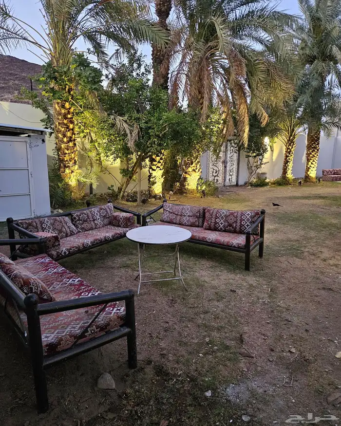 استراحة لاقينا هوم بمسبح كبير طول 19 متر واشجار وزرع 26