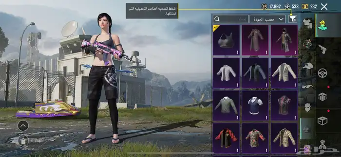 حساب ببجي 17