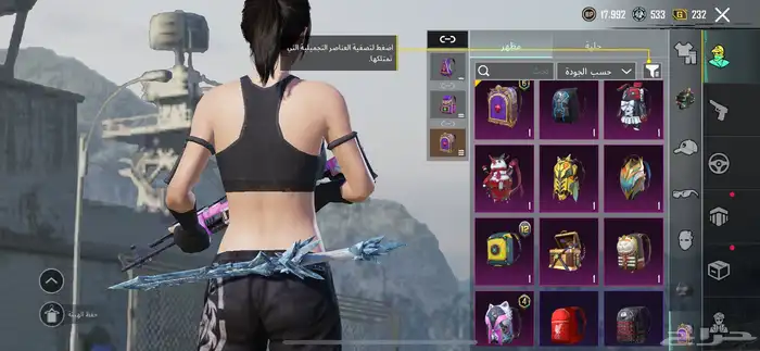 حساب ببجي 22