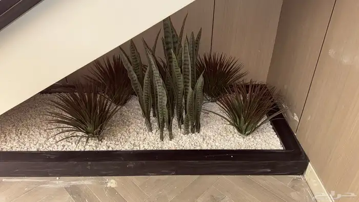 قس م تكورات تحت درج 2