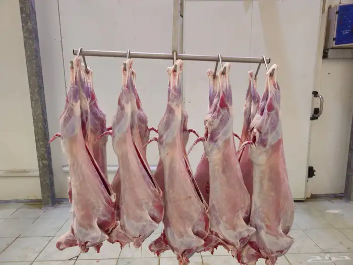لحوم مبرده عالية الجودة 0